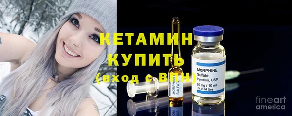 амф Каменка