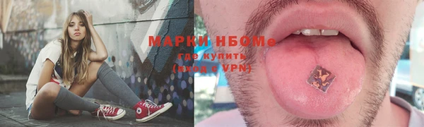 амф Каменка