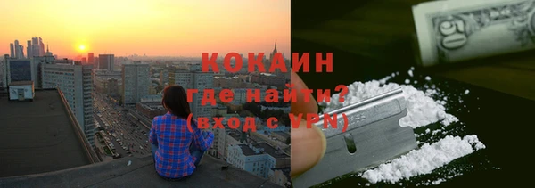 амф Каменка
