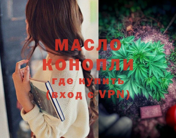 амф Каменка