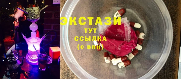 амф Каменка